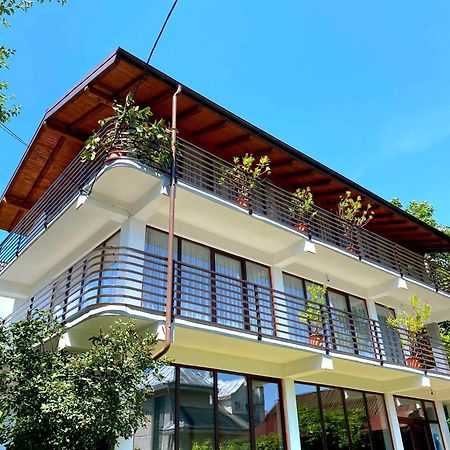 Casa Ionut Hotel Borşa Buitenkant foto