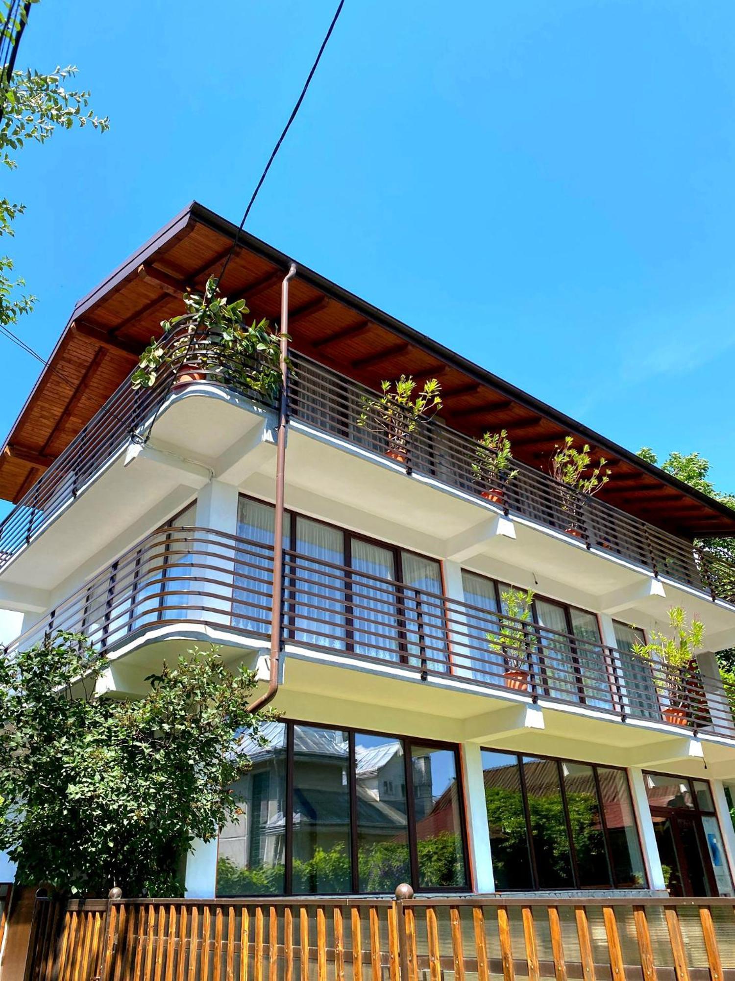 Casa Ionut Hotel Borşa Buitenkant foto