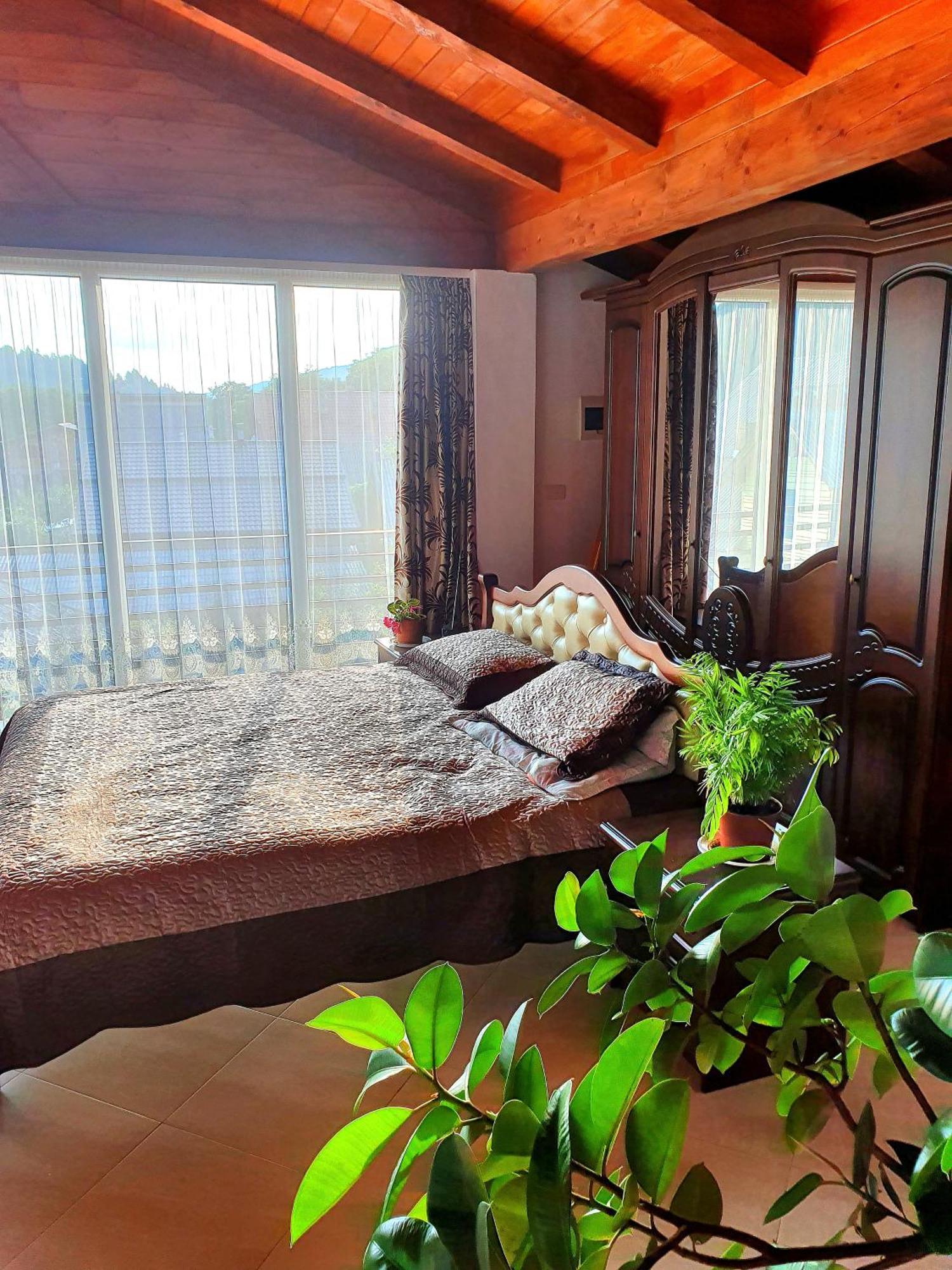 Casa Ionut Hotel Borşa Buitenkant foto