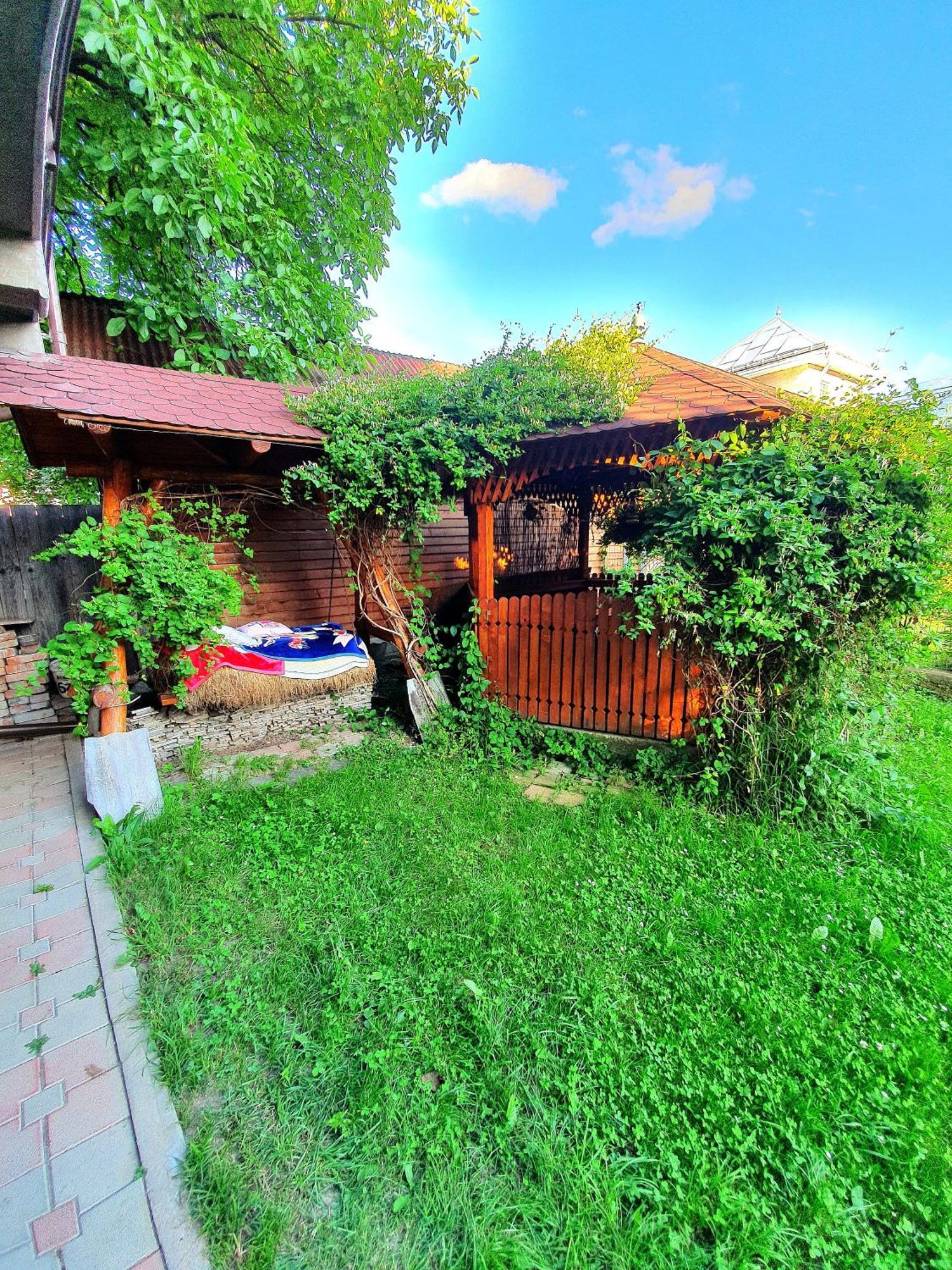 Casa Ionut Hotel Borşa Buitenkant foto
