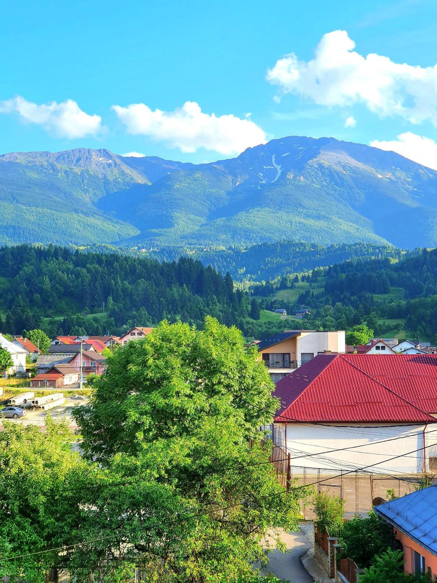 Casa Ionut Hotel Borşa Buitenkant foto