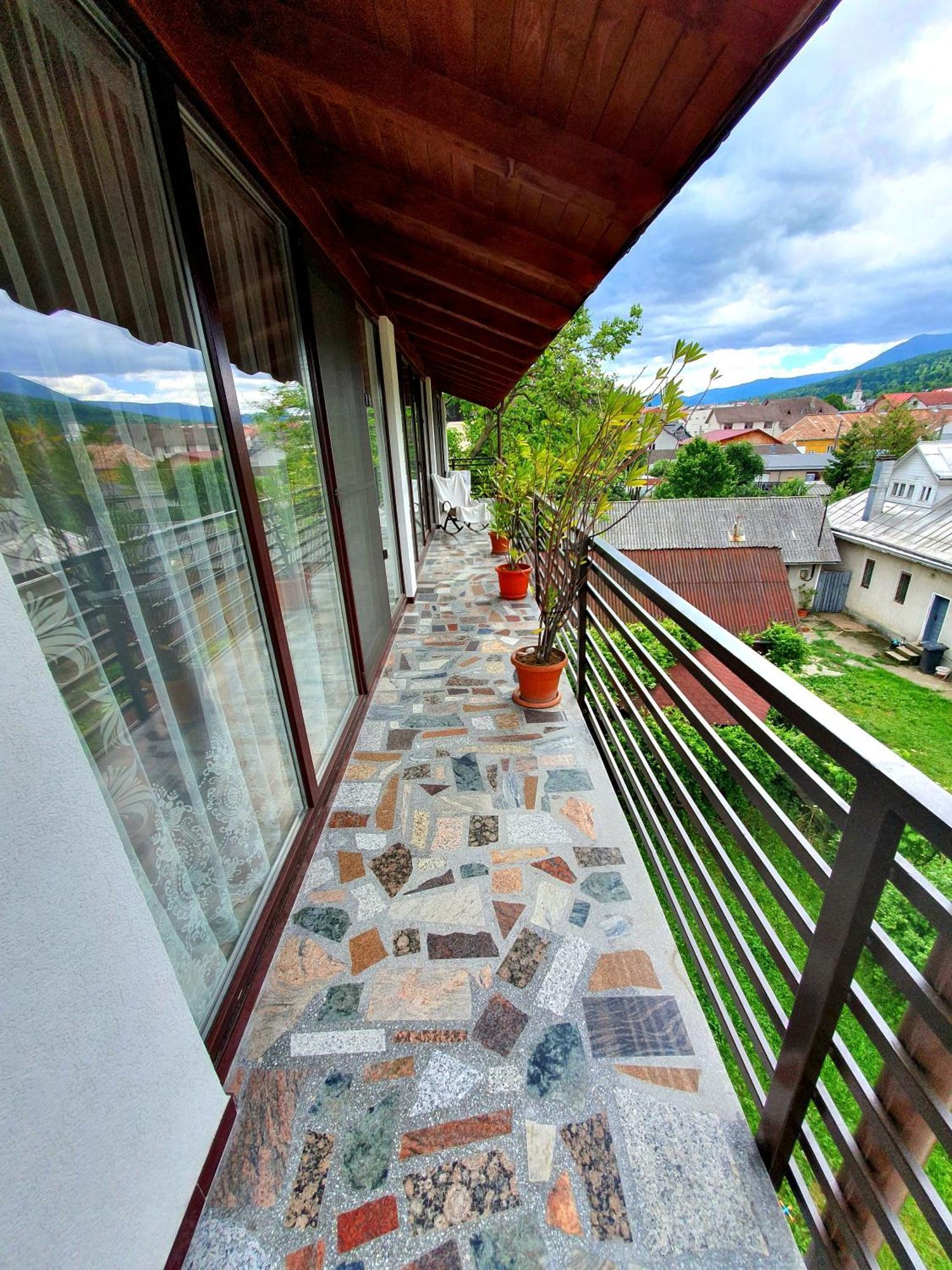 Casa Ionut Hotel Borşa Buitenkant foto